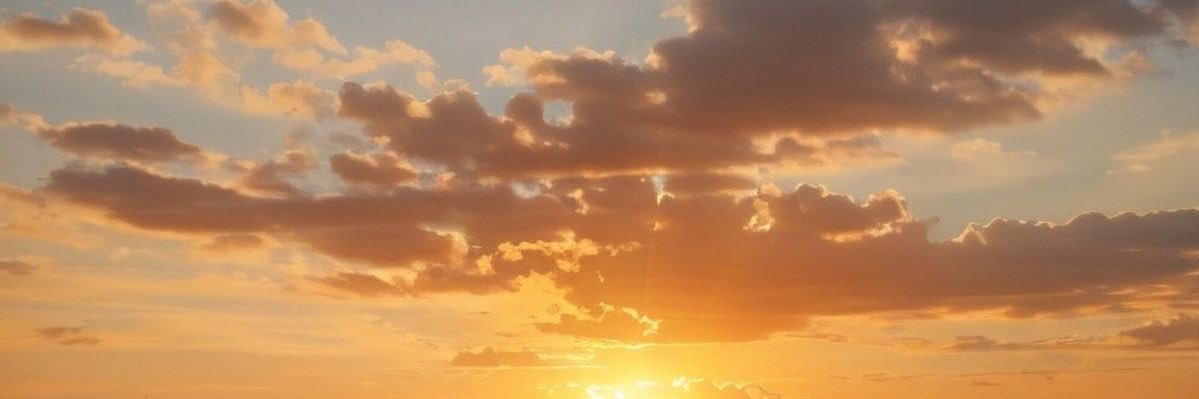 WSA_1's profile banner image