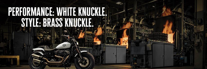 Snake H-D banner