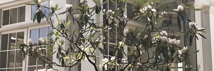 reijlep's profile banner image