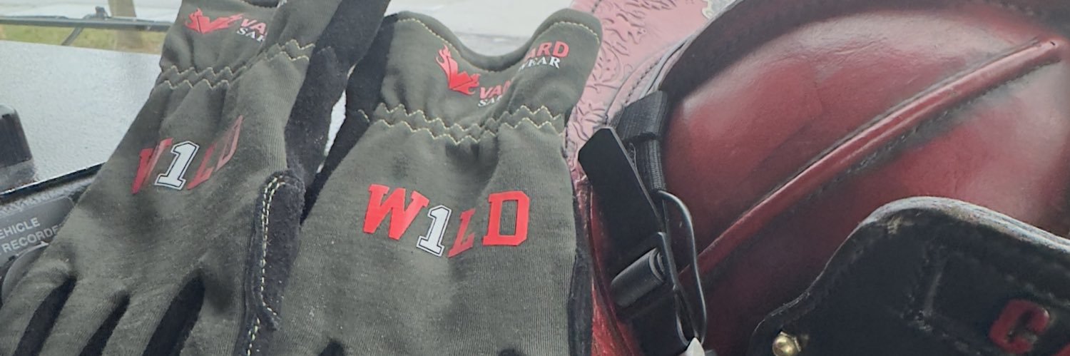 RyanePennington banner