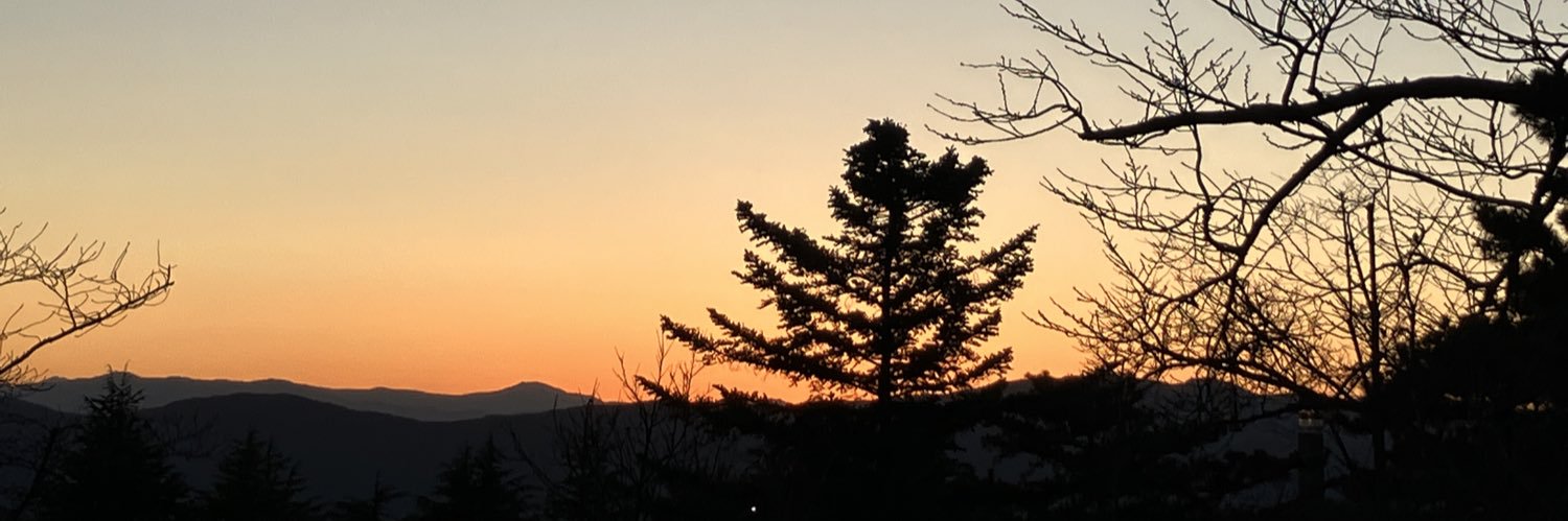 viennaxis's profile banner image
