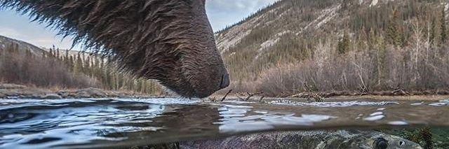 OTVS's profile banner image