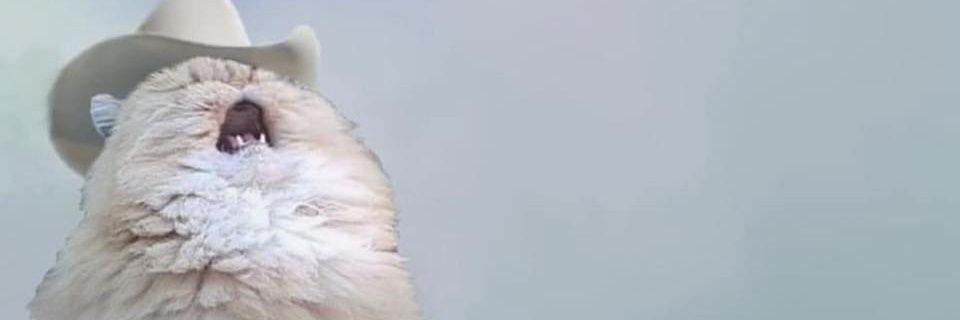 svenwyn's profile banner image
