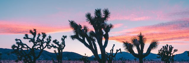 matty_mart4's profile banner image