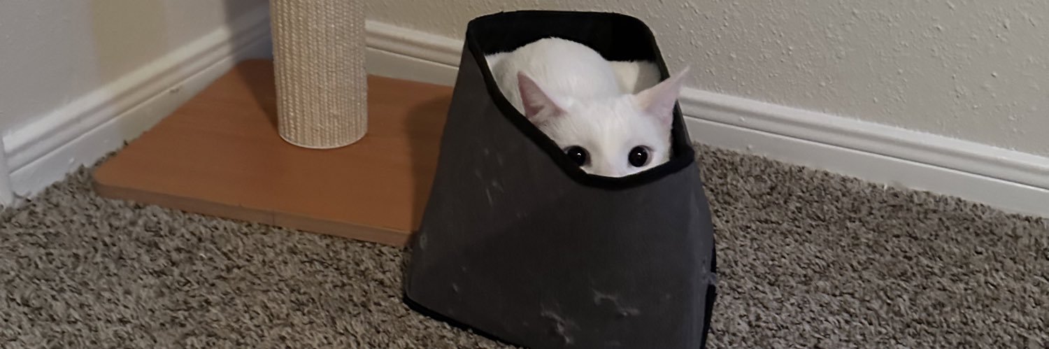 FriickinChris's profile banner image