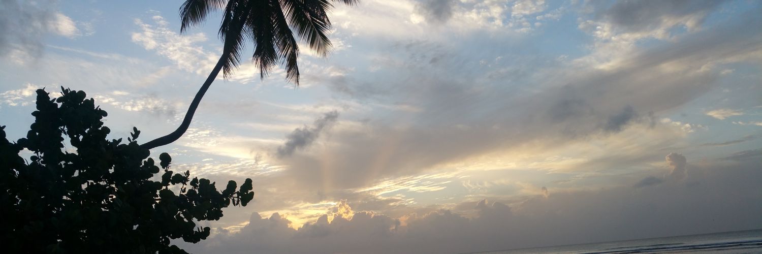 Phearnevins's profile banner image