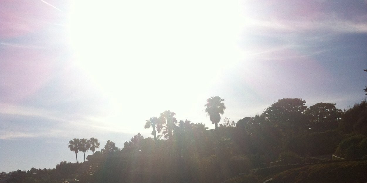 Piercey Dalton banner