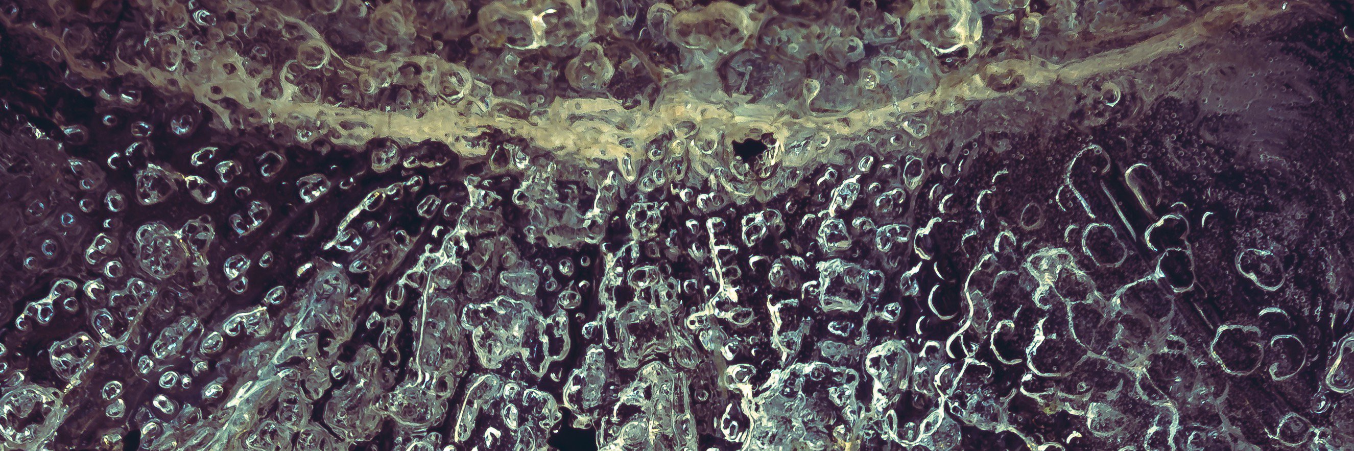 capturemonkey's profile banner image