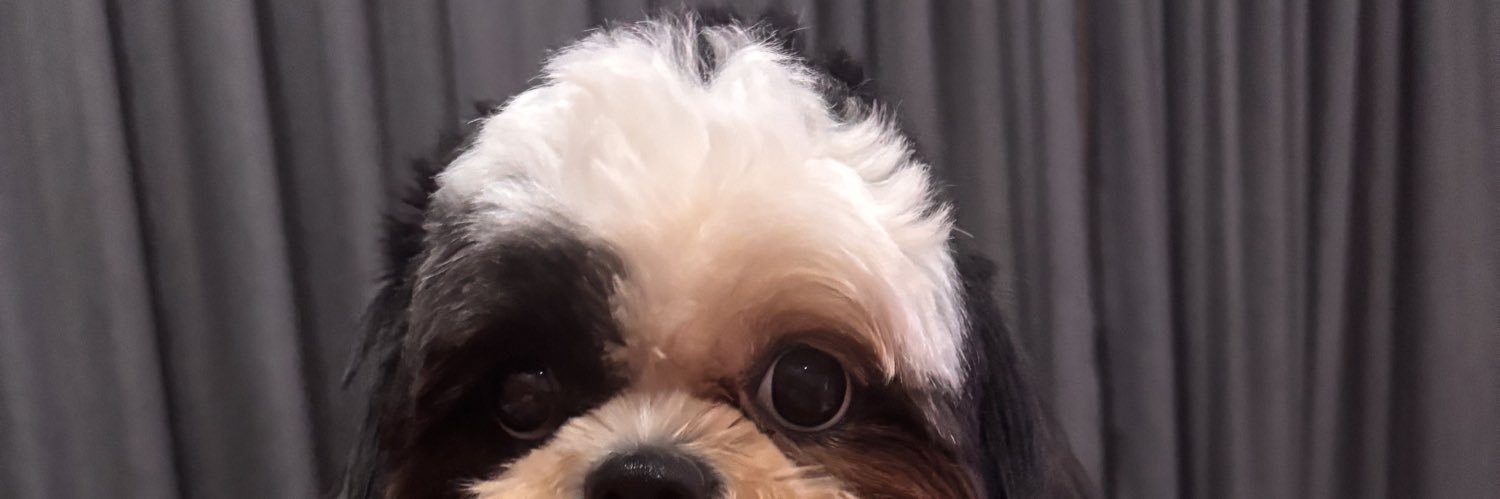 Faella_Santos's profile banner image