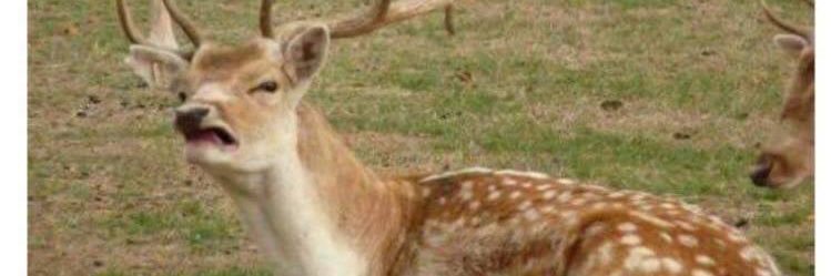 jankri69's profile banner image