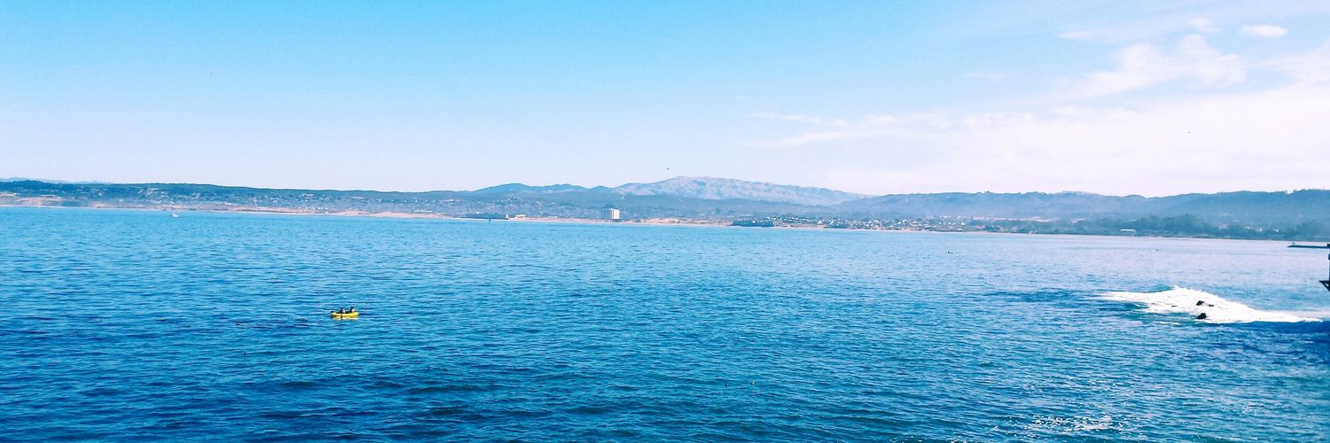 QuynhSelena's profile banner image