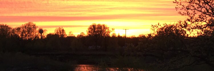 dalton klegstad banner