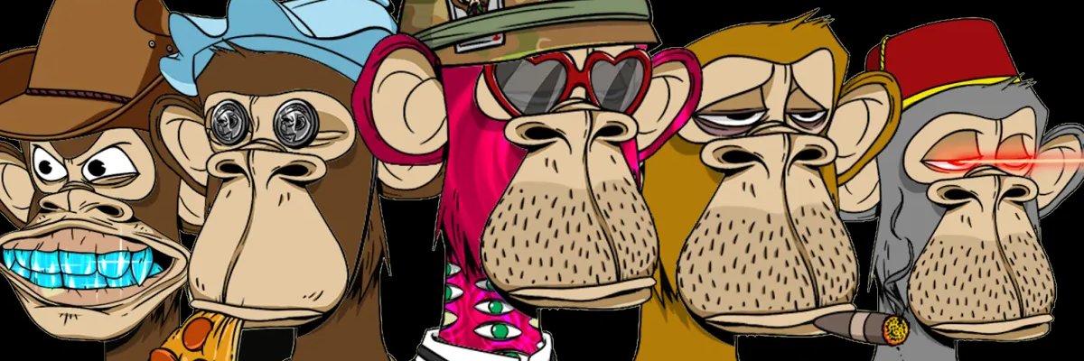 NFT_Hunter_VIP's profile banner image