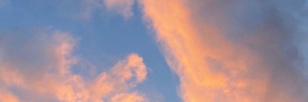__s__is__'s profile banner image
