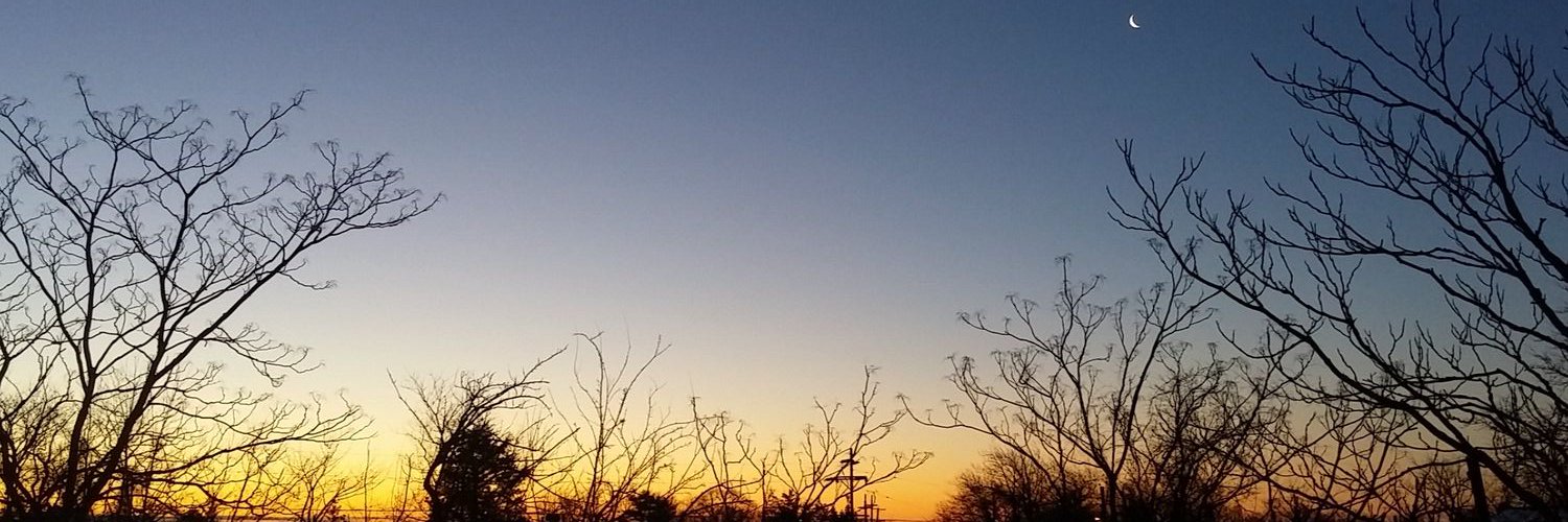 vianaFig's profile banner image