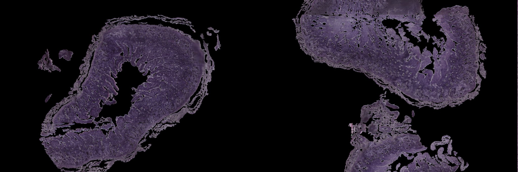 3ScanTweets's profile banner image