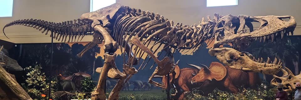 LDawgg23's profile banner image