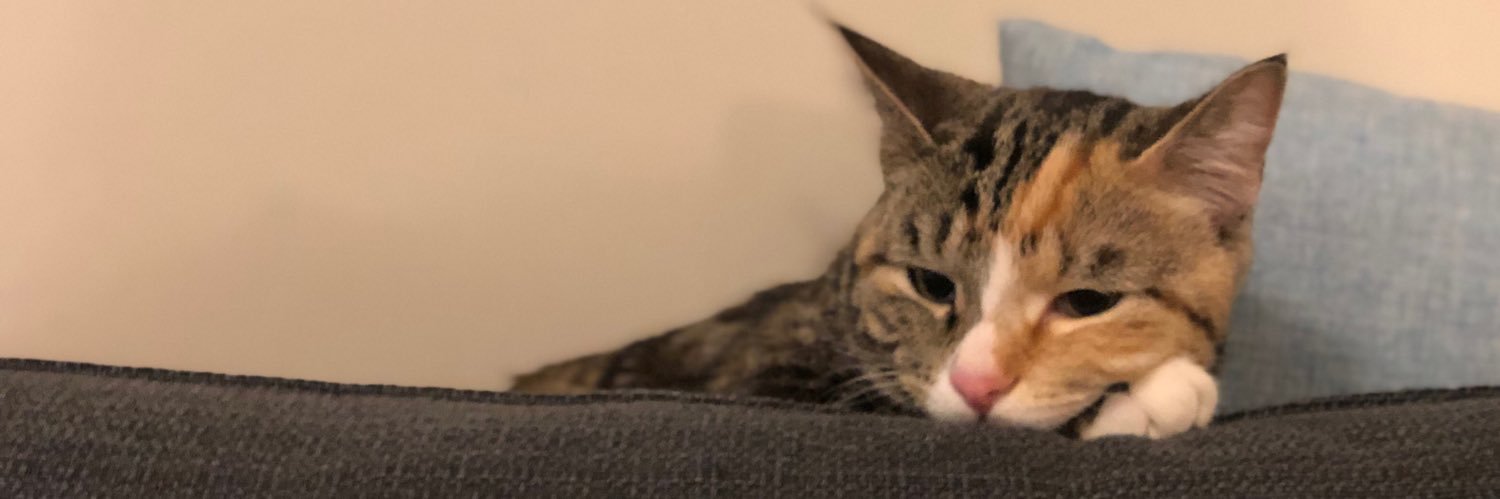 tbradtweets's profile banner image