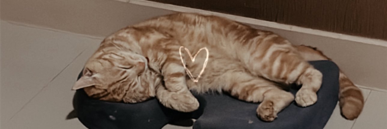 Battery ૮₍ ˃̵͈᷄ . ˂̵͈᷅ ₎ა banner
