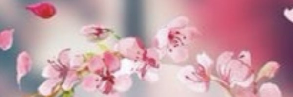 Submitted2Serve Profile Banner