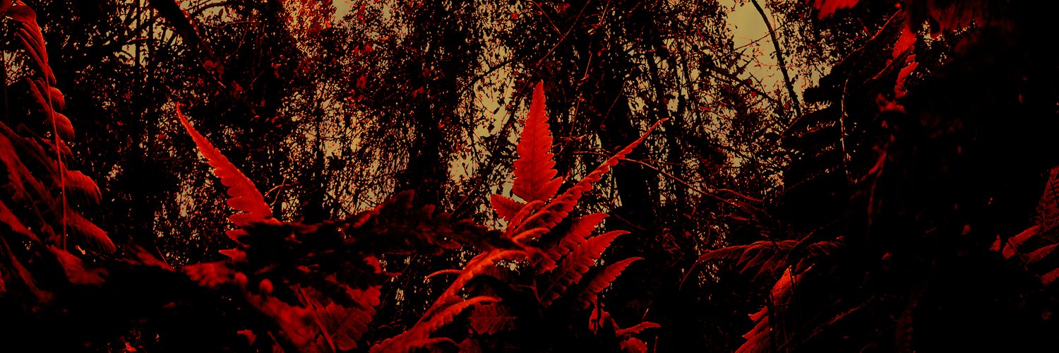 CountryCadi's profile banner image