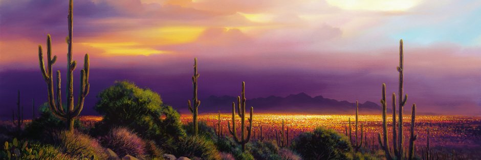 DesertSkyGames's profile banner image