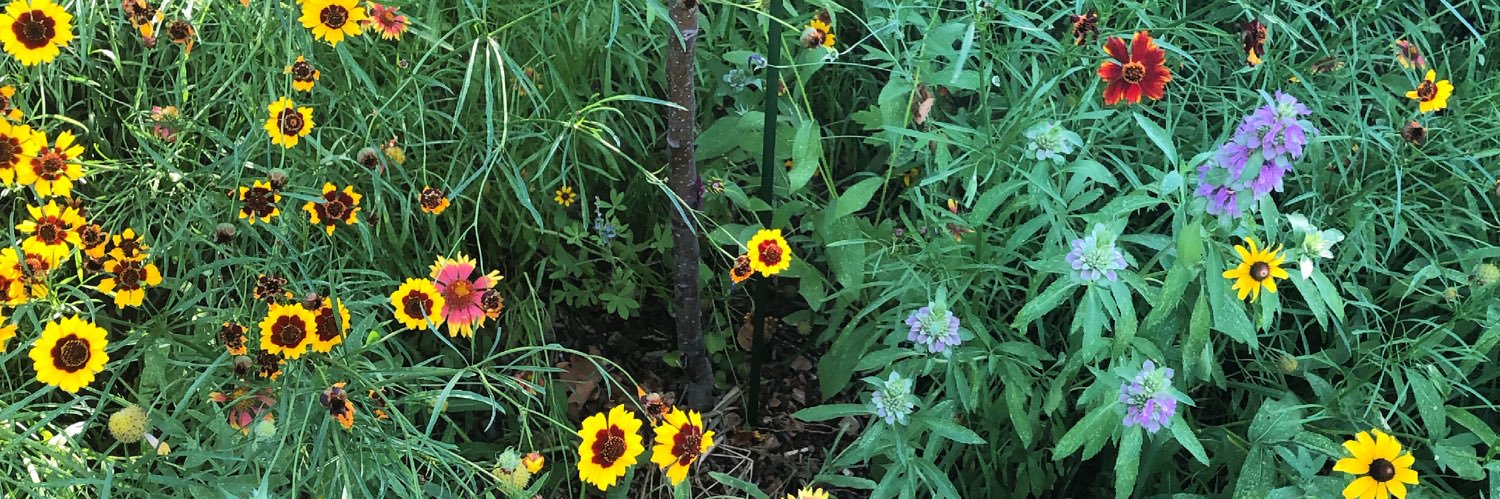 Asheley R. Landrum banner