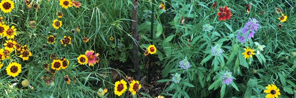 LandrumAR Profile Banner