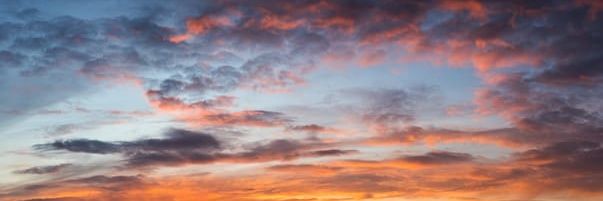 AROP101's profile banner image
