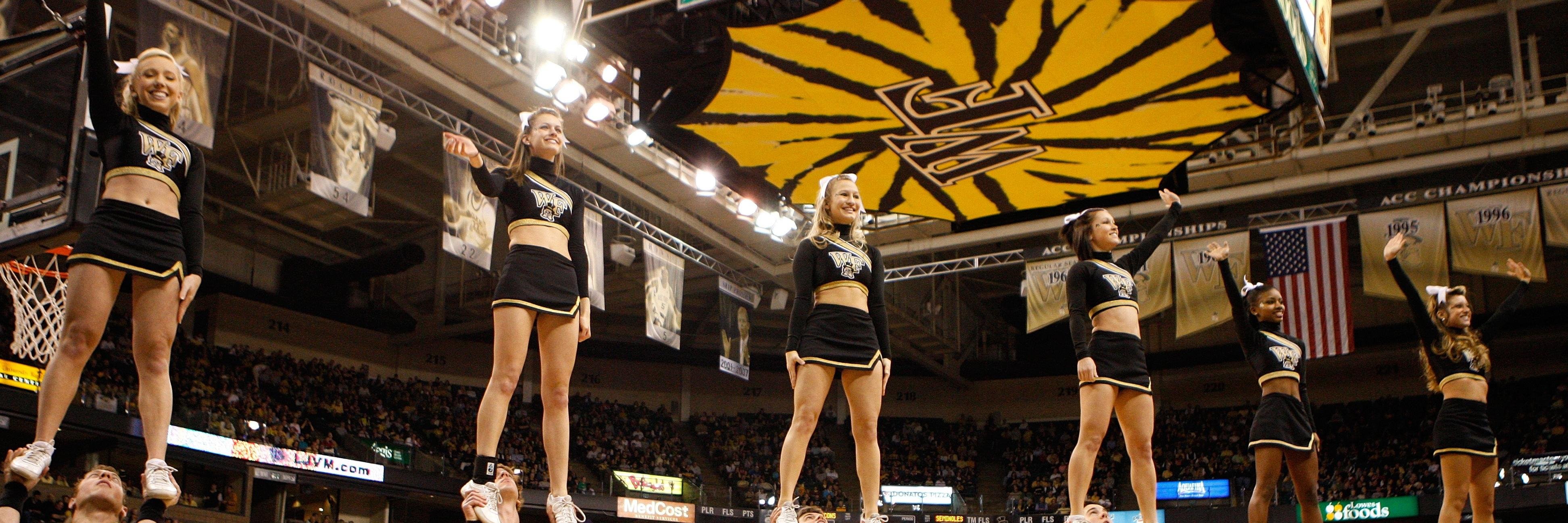 WFUonScout's profile banner image