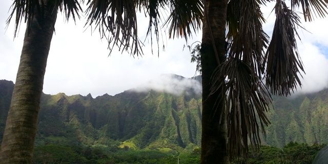 josayyo's profile banner image