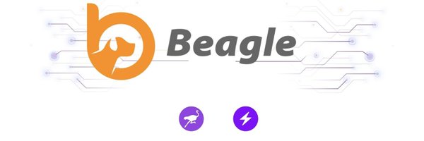 0xWLi Profile Banner