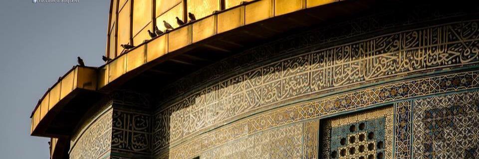 RubaGhazal's profile banner image
