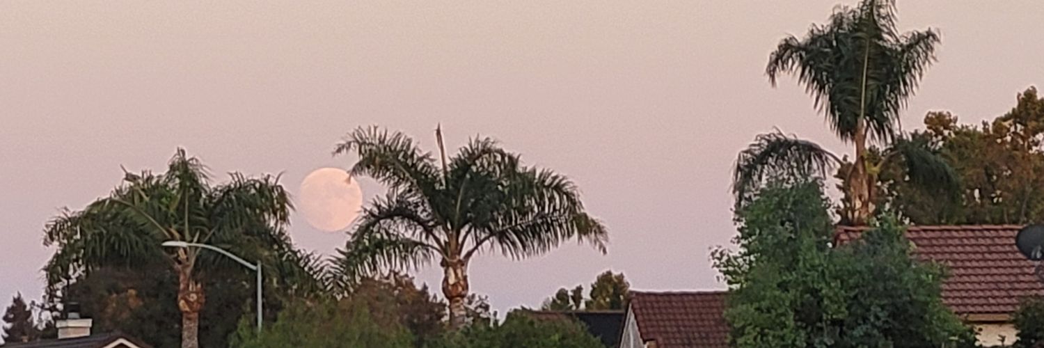 varn_w's profile banner image