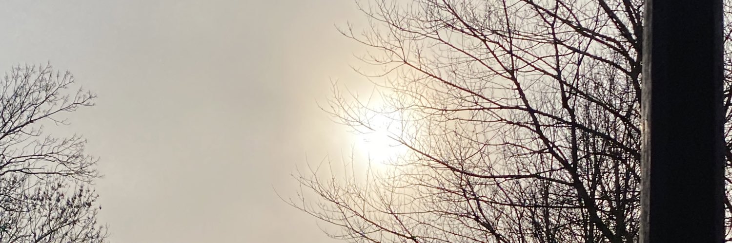 BerRL's profile banner image