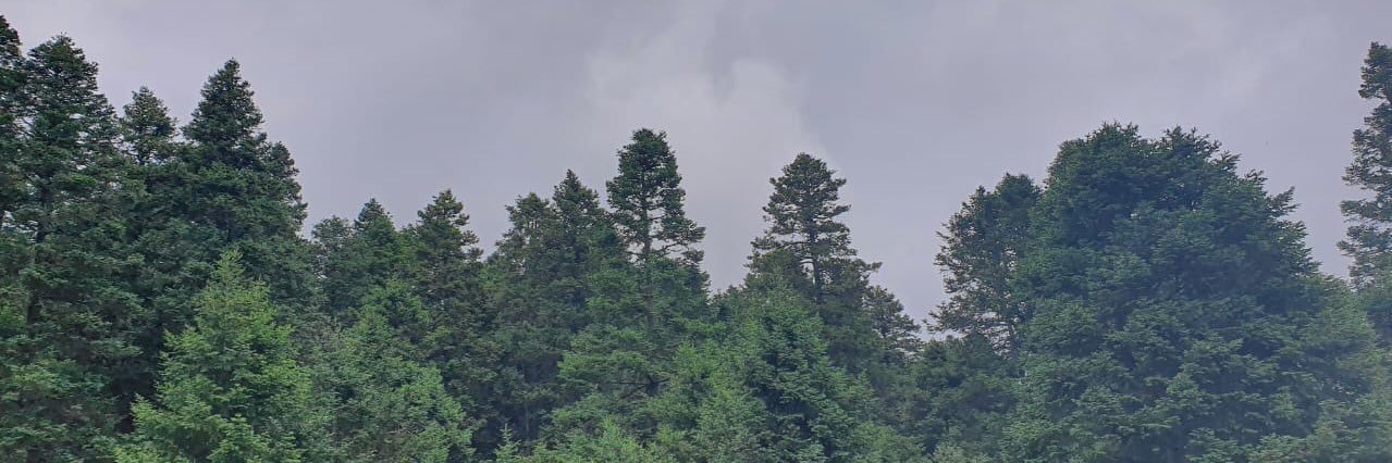 __Konibb's profile banner image