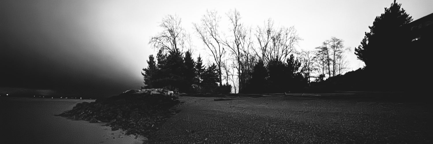 FForestRose's profile banner image