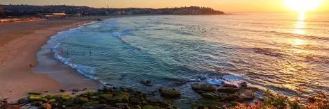 Matthew Doman banner