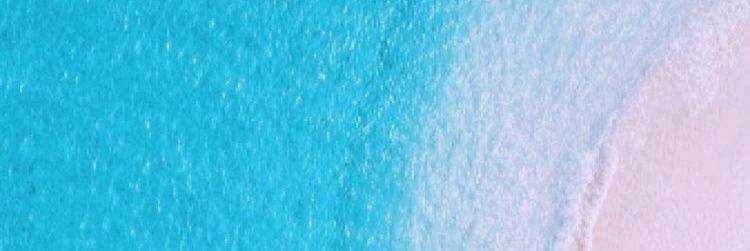 Monica Sabela banner