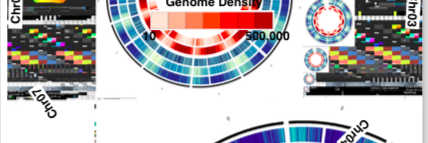 sudogenes's profile banner image