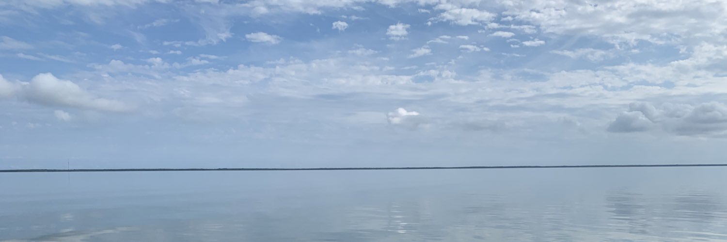 nettebu's profile banner image