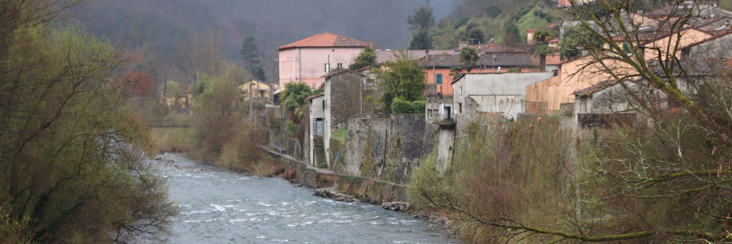 David Baumgartner banner