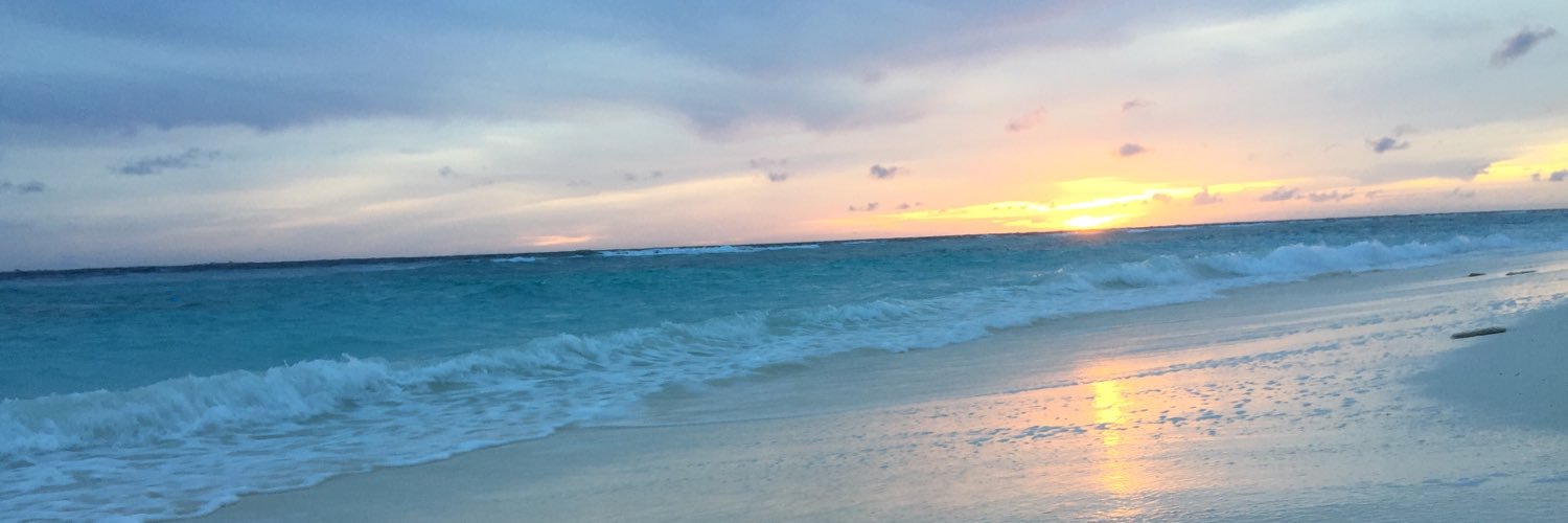 Minnsif's profile banner image