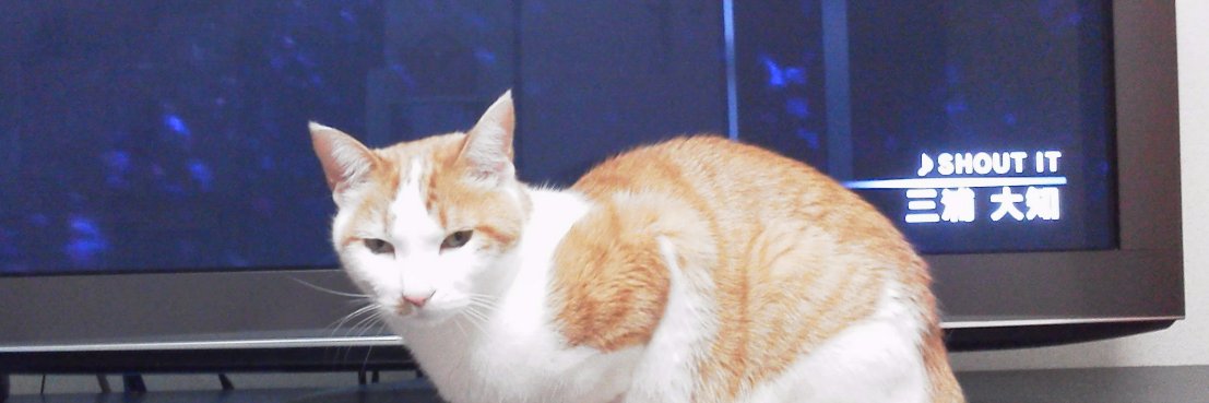 imfine_tomorrow's profile banner image