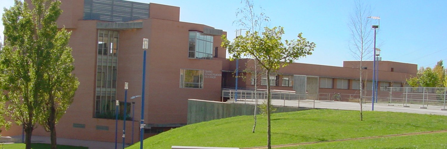Esther Castellano Sánchez's banner