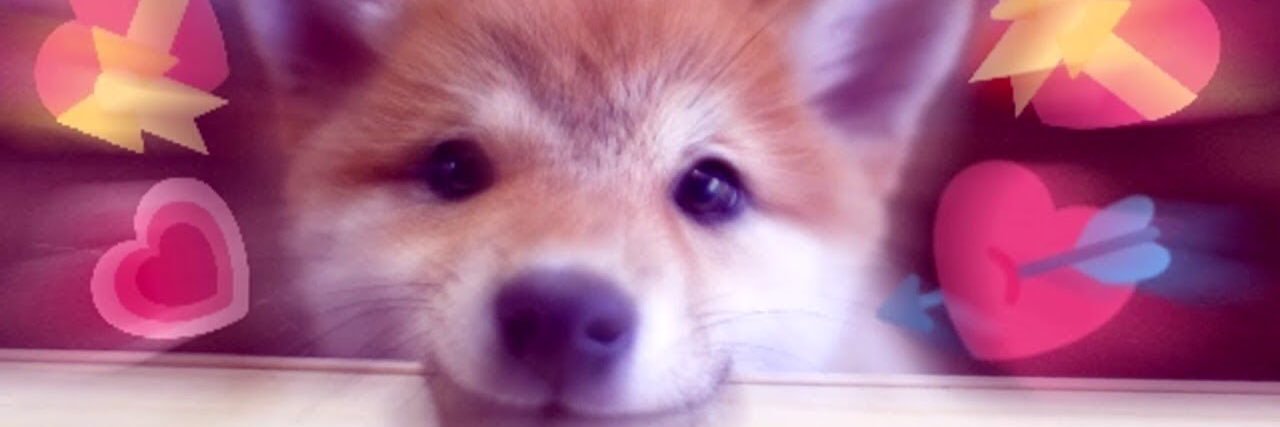 trishyfishyyyy's profile banner image