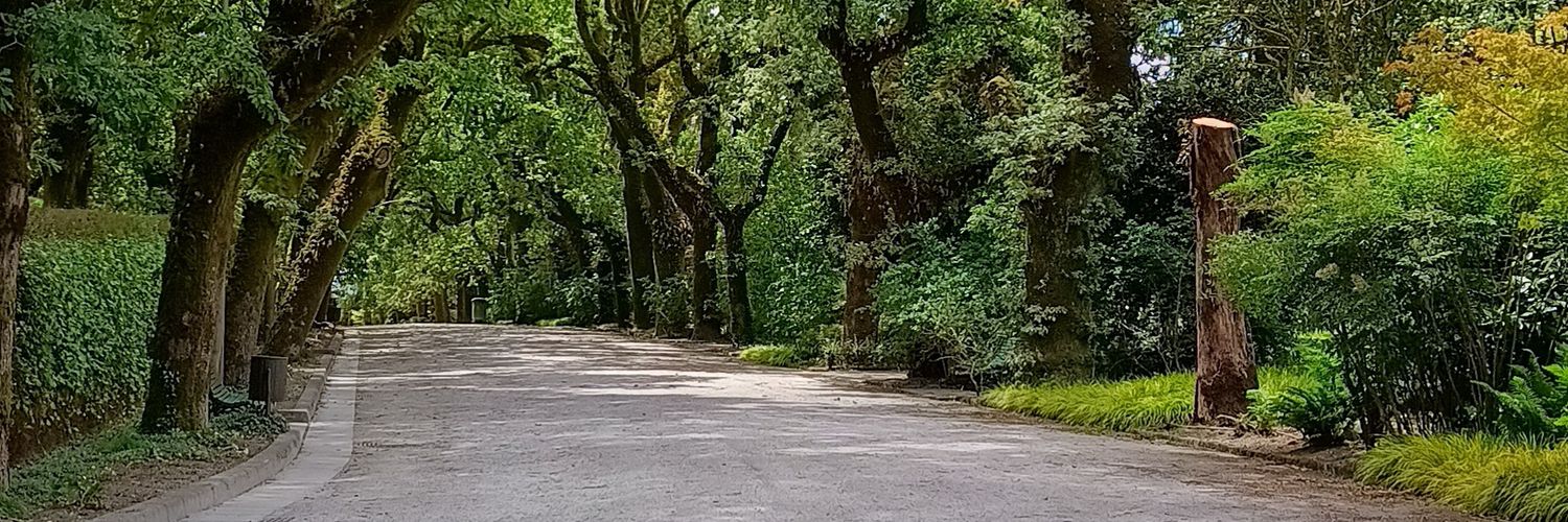 Marie88 banner