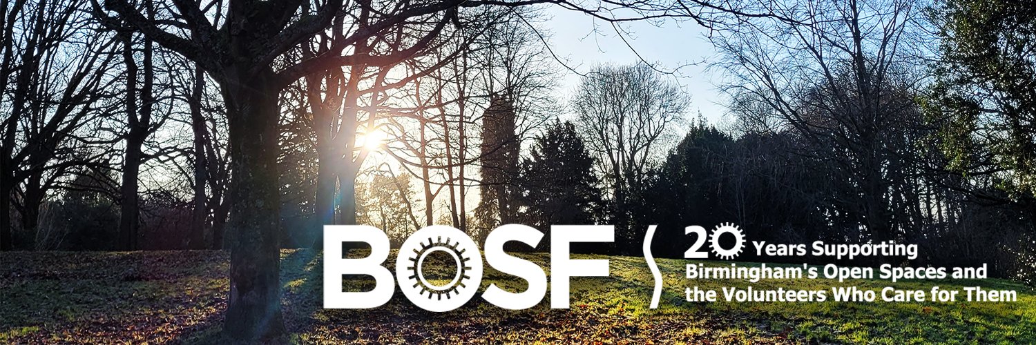 BOSF - @bosfonline.bsky.social 🦋 banner