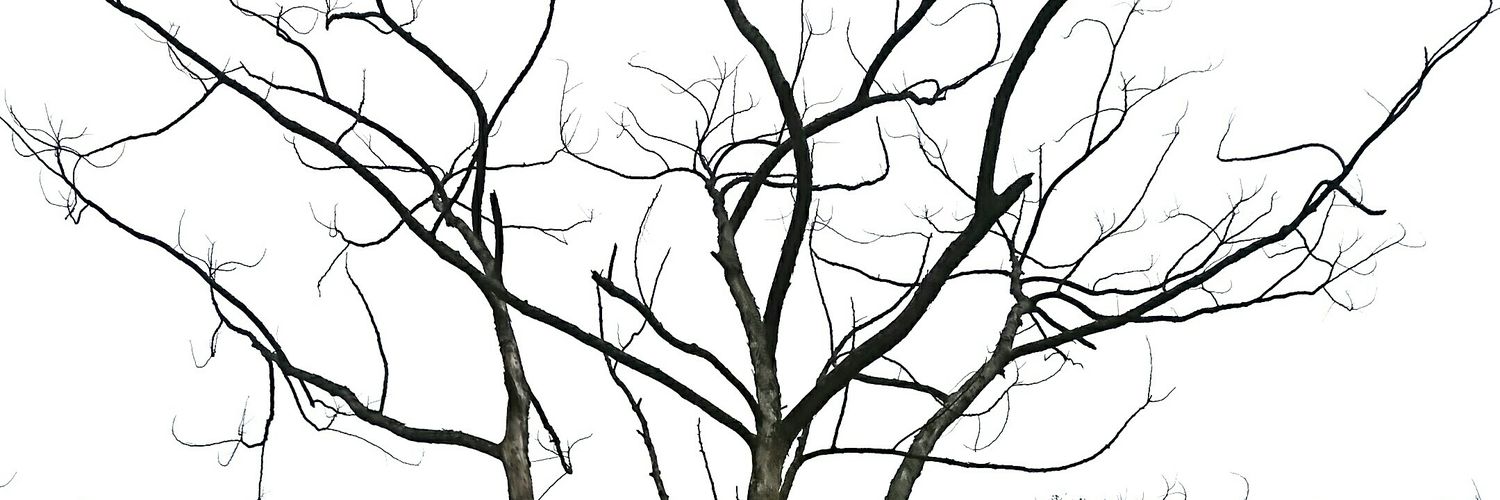 Namasayanisay's profile banner image