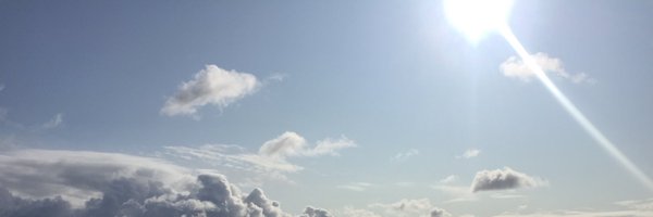 neevoloughlin Profile Banner